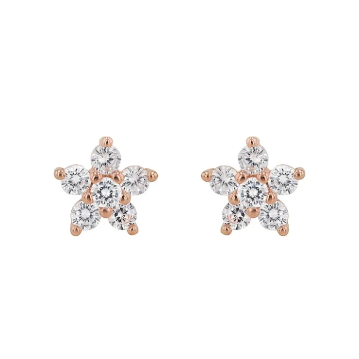Amor Damenschmuck | Ohrringe-Ohrstecker Damen